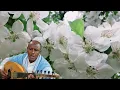 Finally Remastered: Cumar Dhuule - Ceelasha Bari (4K) 2026