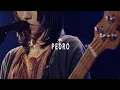 Download Lagu PEDRO / さすらひ [午睡から覚めたこどものように @ 新代田FEVER] with interview