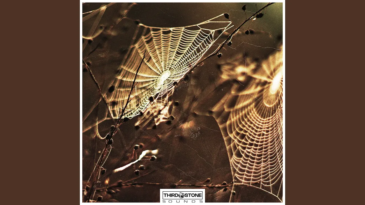 Gossamer II Gossamer II