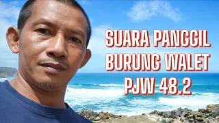 editor suara panggil pjw original by awal walet