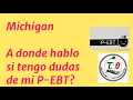 MICHIGAN INFORMACION PEBT