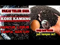 Lagu Cukup 1 butir \u0026 telur, puluhan karung kohe kambing langsung hancur lembut tanpa mesin tanpa tumbuk