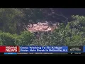 Major water main break floods Belleville N J