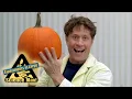Download Lagu Science Max | EGG DROP | Experiments