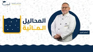 المحاليل المائية الصف التاسع الكيمياء أ سامر السيد منصة لبيب التعليمية 