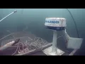 Download Lagu Diving the former diving ship m/s Stromboli