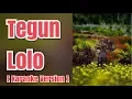Download Lagu TEGUN LOLO - Asmahera Br Sinulingga | Karaoke