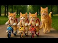 Download Lagu Mama Cat Trims Fur on the Farm and Makes Tiger Hat For Kittens At Home🐾🎩🐯