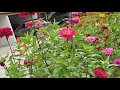 Lara PerezVlog62 is live REHOBOTH BEACH DELAWARE USA