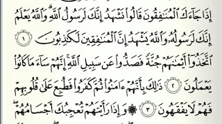 سورة المنافقون سعد الغامدي 