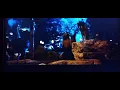 Zookeeper 2011 Meeting Scene