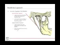Maxilla and Mandible Anatomy Head and Neck Anatomy 9 of