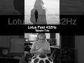 Lotus Feet – Handpan Tribute in 432Hz | Honoring Taksim Trio's Mastery