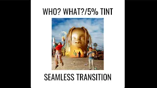 who what 5 tint seamless transition travis scott
