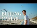 Lagu BURUNG CAMAR - VINA PANDUWINATA | POP JAZZ COVER