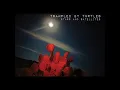 Midnight on the Interstate - Trampled by Turtles