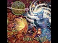 Senseless Massacre - Rings of Saturn