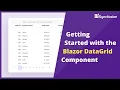 Getting Started with the Blazor DataGrid Component