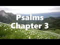 The Book of Psalms Chapter 3 - New King James Version NKJV