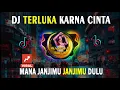 Download Lagu DJ TERLUKA KARENA CINTA REMIX VIRAL TIKTOK FULL BASS 2024 MANA JANJIMU JANJIMU DULU AKAN SETIA