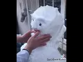 Download Lagu Çeneyi Serbest Bırakalım 🤣 ( Uzaktan Eğitimle Diş Hekimi Olmuşumdur )