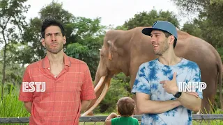 16 Personalities at the Zoo
