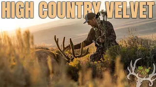 VELVET MULEY 53 Yards Spot Stalking in Utah