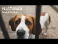 Download Lagu Forgiveness - Patrick Patrikios | 2-hour tune | Endless loop | Copyright Free!