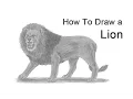How to Draw a Lion Roaring