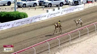 ش1 شراره لـ عبدالله سيف مصبح الكيبالي مهرجان البيت متوحد 3 10 2024 مجسم بكار مقيض الدار 4 20 2 