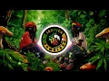 Freddie Mcgregor - Sweet Lady