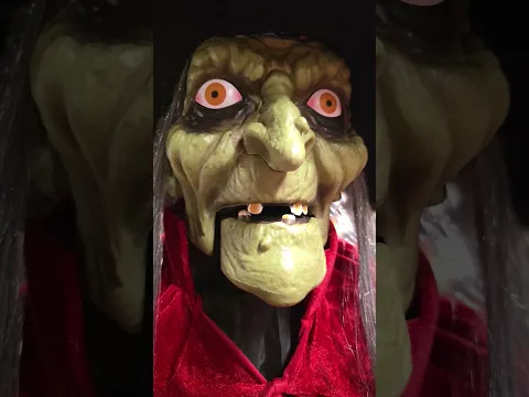 witchy woman! #thatnateguyonyoutube #spirithalloween