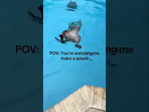 ever seen a pitbull dive backwards into a pool? #americanbully