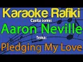 Download Lagu Aaron Neville - Pledging My Love Karaoke Demo