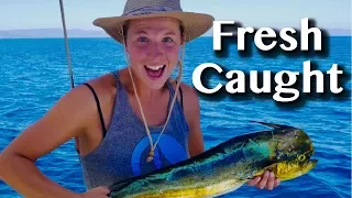 Living Off the SEA [Adventure #77]