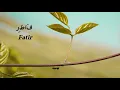 Download Lagu Surah Fatir (فَاطِر) by Mishary Rashid Al Afasy
