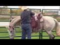 Saddle fit eval of JC martin saddle with Smokie Brannaman