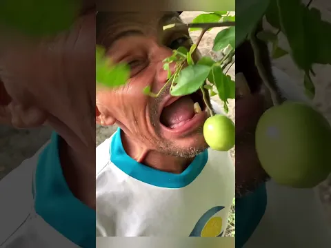 Kakek Mempertaruhkan Segalanya demi 1 Kilo Motichoor Laddu! ππ¬π±