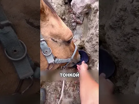 Заботливый мужчина СПАС друга от жажды 🤯🔥🐴