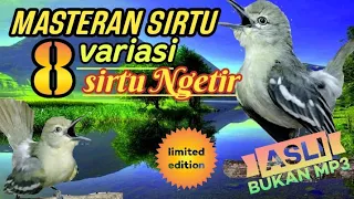 Download MASTERAN SIRTU 8 Variasi sirtu ngetir/mriwit versi \ MP3