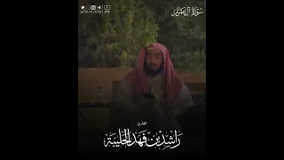 مرئي تلاوة ندي ة من سورة آل عمران للقارئ راشد الحليبة في جلسة خاصة 