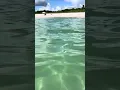 Swimming in the clear water of Miami Beach in August Water temperature 88 C