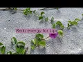 Reiki energy for Lipomas