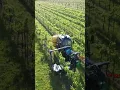 Download Lagu DA ROS GREEN spollonatore a telaio scavallante #farming #agricoltura #agriculture #daros