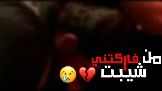 صار العمر ضيجه خلك شيردها لمتنه من فاركتني شيبت وبين عليه الكبر الملا علي الساعدي لماله ام ضايع يضل 