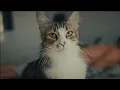 Tan Taşçı – Küçük Hesaplar (Official Music Video)