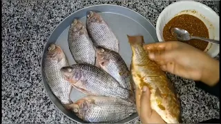 Akattaa Qurxummii Iti Hojjatan 