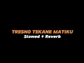 Download Lagu TRESNO TEKANE MATIKU  -  Slowed + Reverb (Full Lirik)