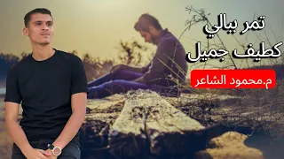 تمر ببالي كطيف جميل إحساس يفوق الوصف المنشد محمود الشاعر 