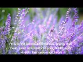 Download Lagu Whispers of Joy... A place to breathe